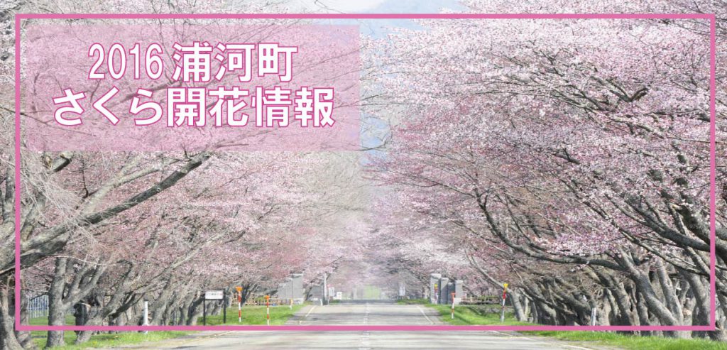 news427_01