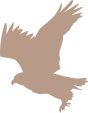 eagle_silhouette_01