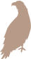 eagle_silhouette_02