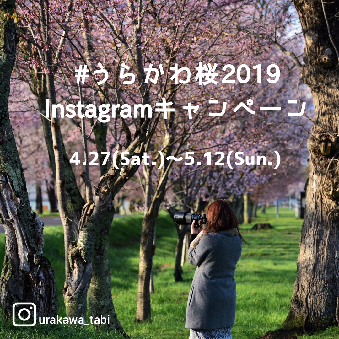 #うらかわ桜2019Instagramキャンペーン　を開始しました！