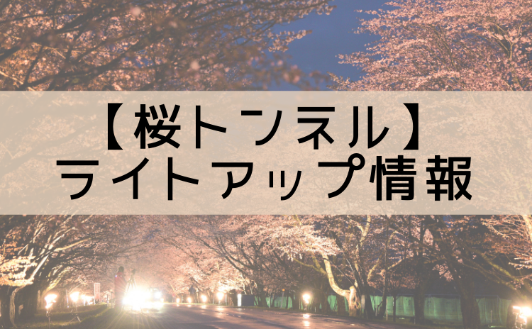 桜トンネル　ライトアップ日時決定