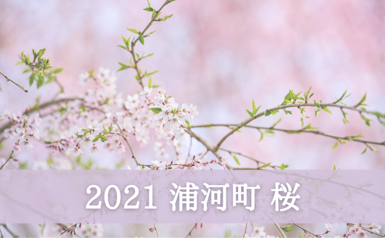 2021　浦河町　桜ギャラリー