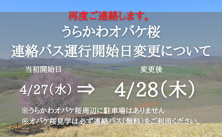 うらかわオバケ桜連絡バス運行開始日変更について