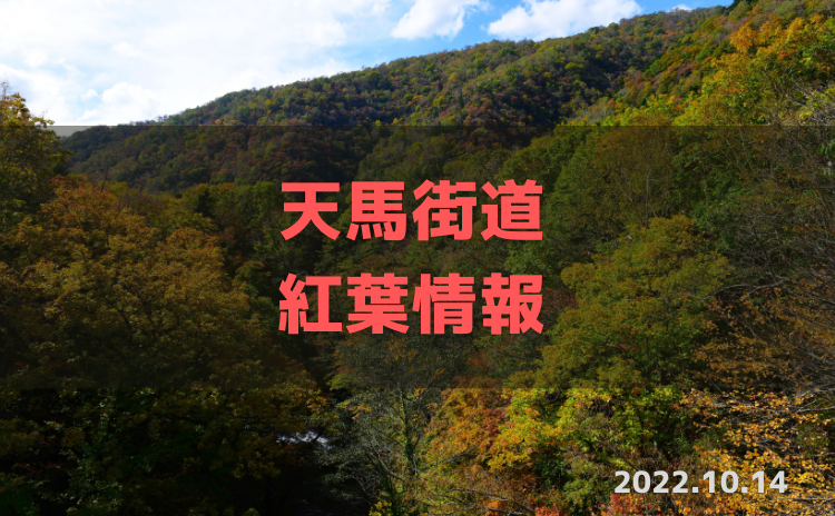 天馬街道　紅葉情報
