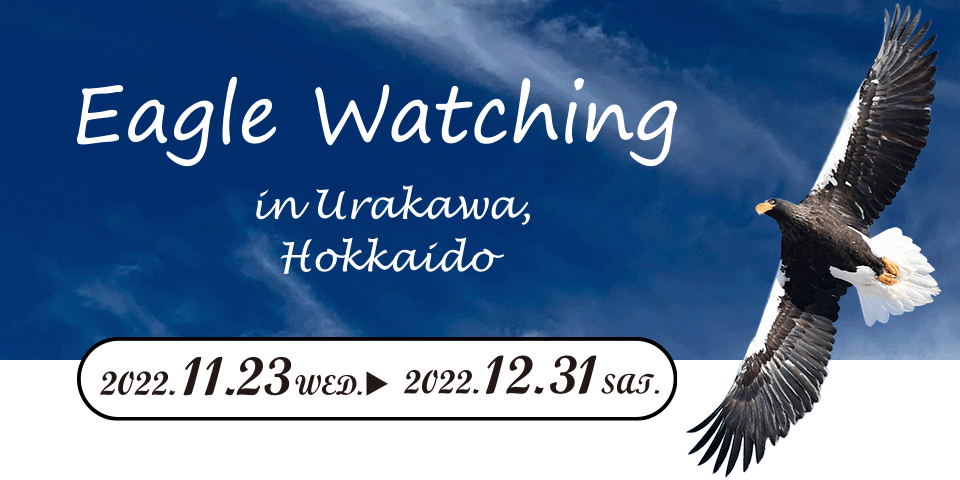 イーグルウォッチング