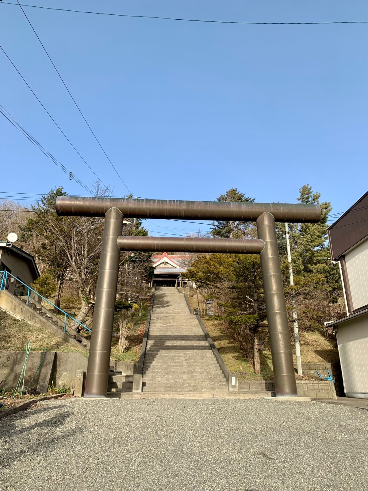 浦河神社で春発見 うらかわ旅