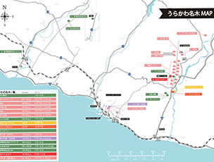 うらかわ名木マップ（PDF）