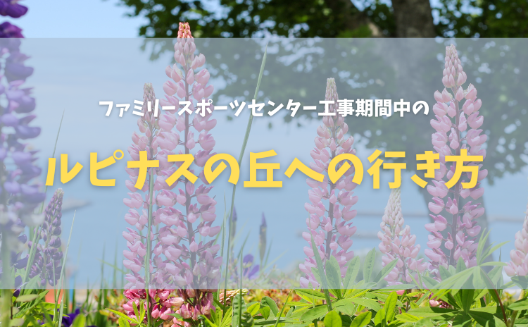 ファミリースポーツセンター工事中のルピナスの丘への行き方について